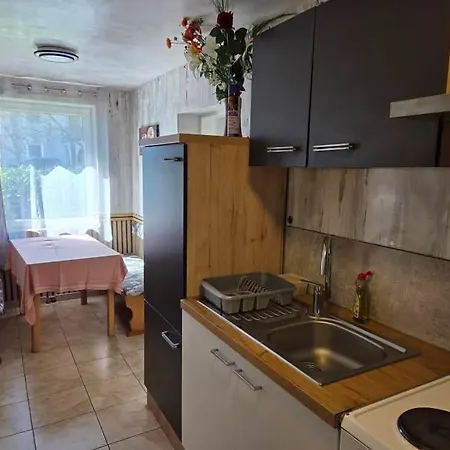 Appartement Schwanenstadt * Schwanenstadt